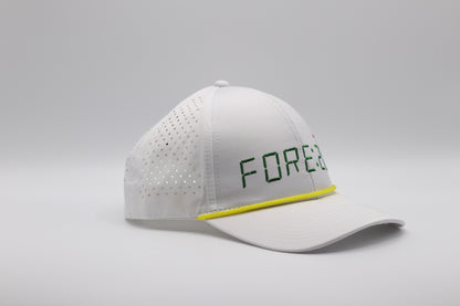 Fore20 Basics